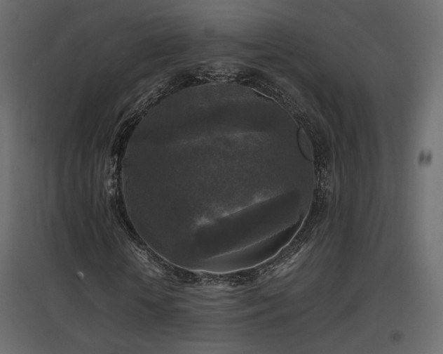 X0000097760818200803071253