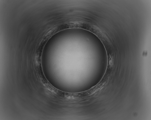 X0000097760819200803071253