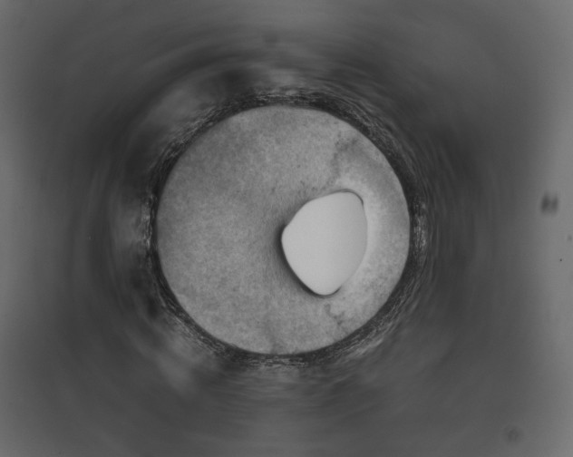 X0000097760820200803071253