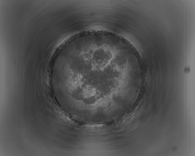 X0000097760823200803071253