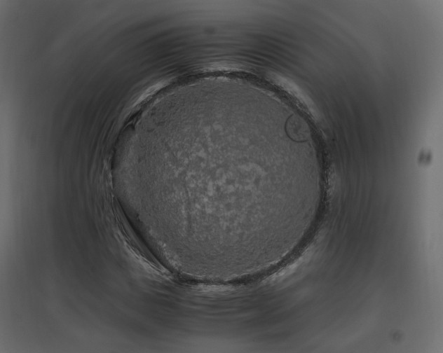 X0000097760825200803071253