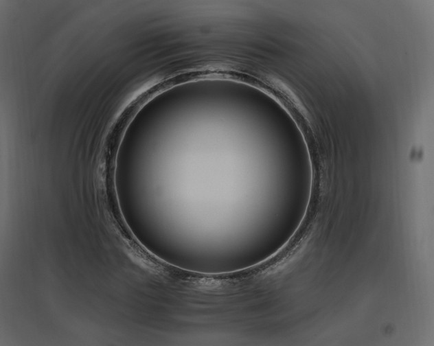 X0000097760827200803071253