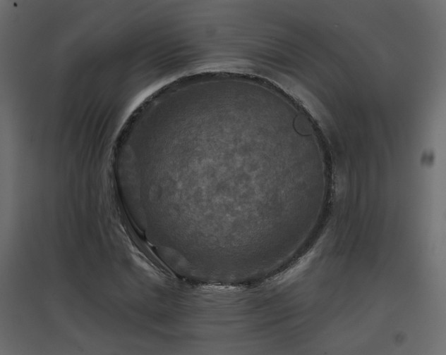 X0000097760830200803071253