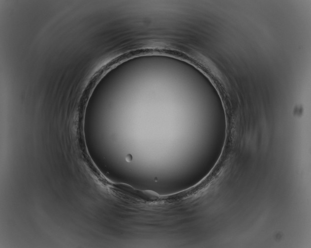 X0000097760831200803071253