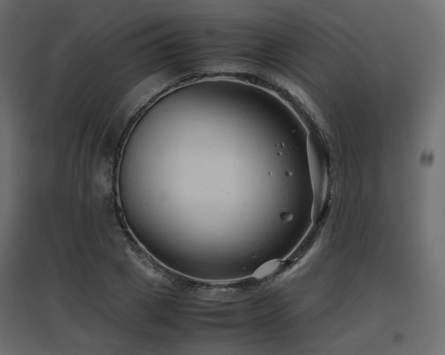 X0000097760833200803071253