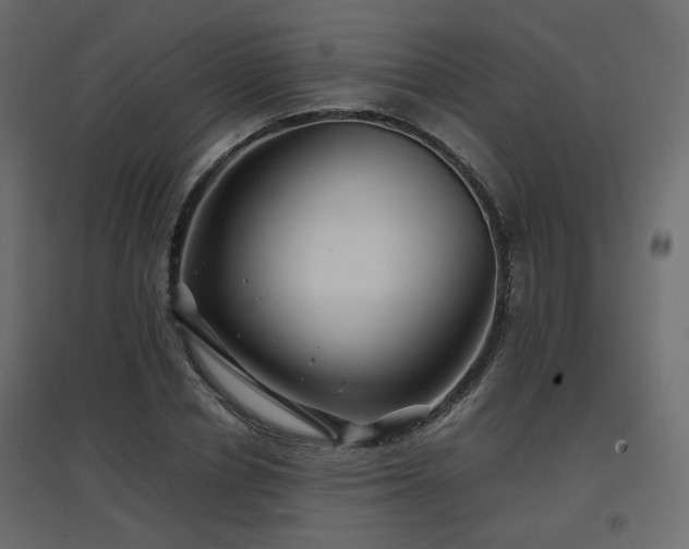 X0000097760834200803071253