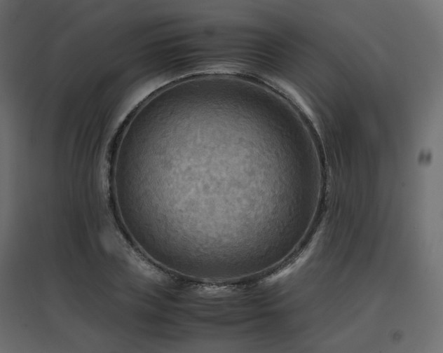 X0000097760835200803071253