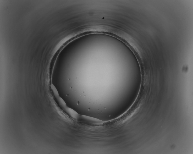 X0000097760837200803071253