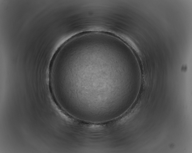 X0000097760839200803071253