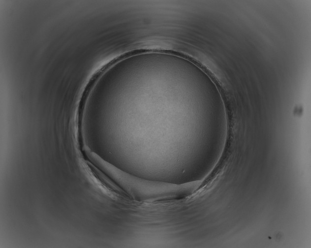 X0000097760840200803071253