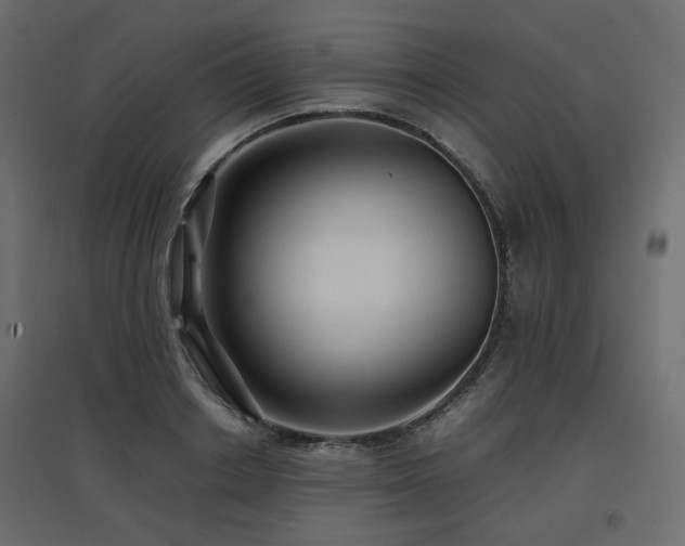 X0000097760842200803071253