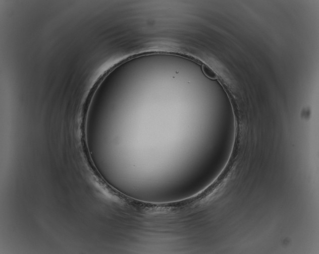X0000097760846200803071253