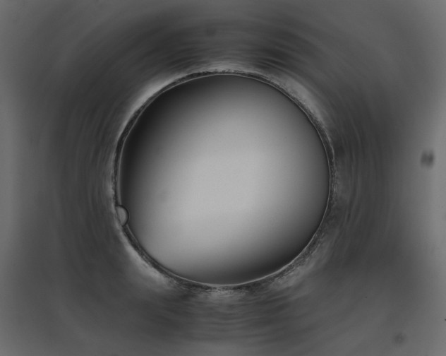 X0000097760847200803071253