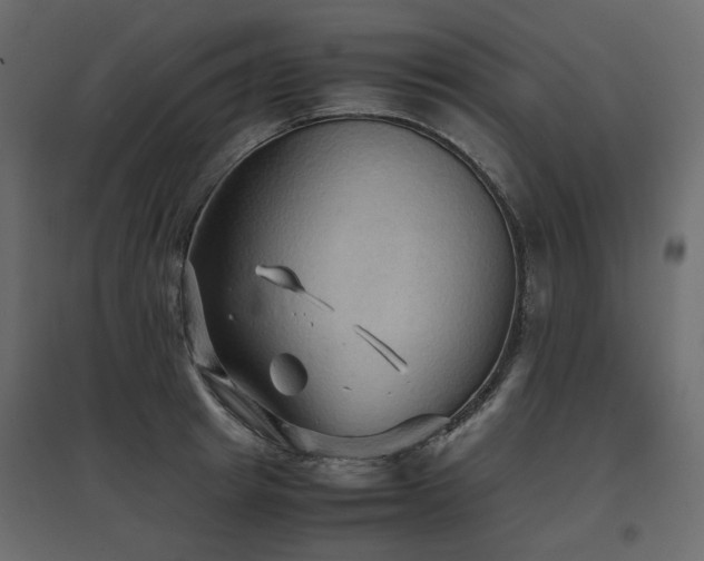 X0000097760849200803071253