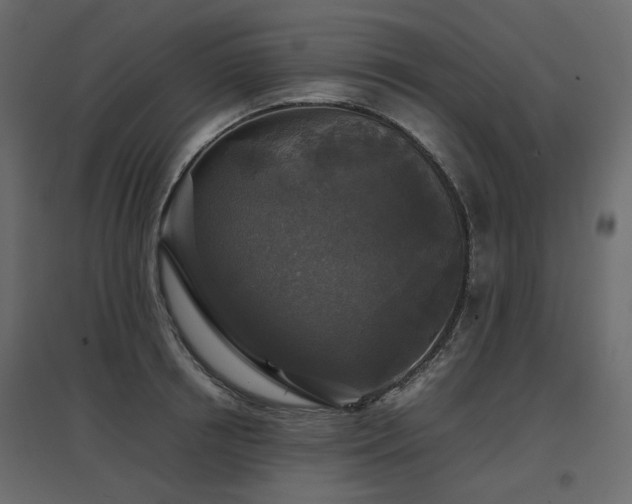 X0000097760850200803071253