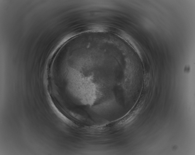 X0000097760851200803071253