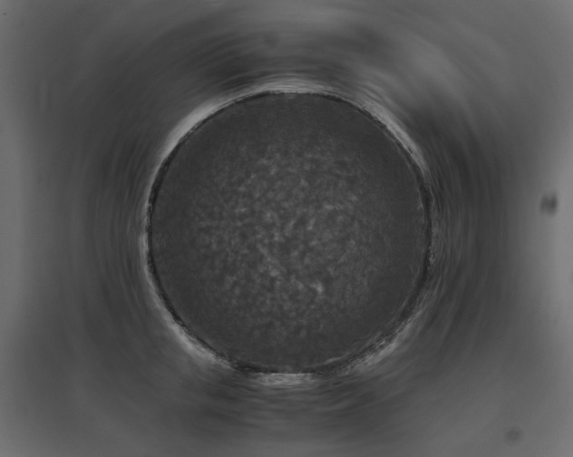 X0000097760853200803071253