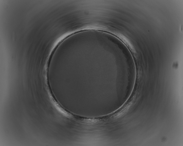X0000097760854200803071253