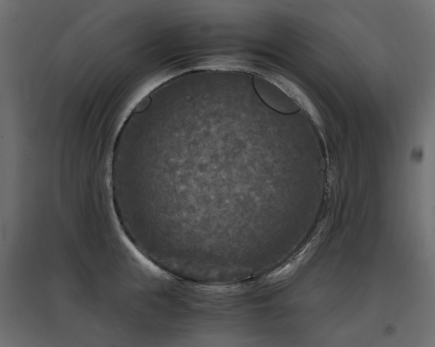 X0000097760855200803071253