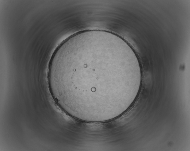 X0000097760856200803071253