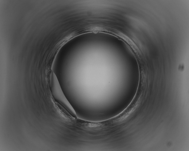 X0000097760857200803071253