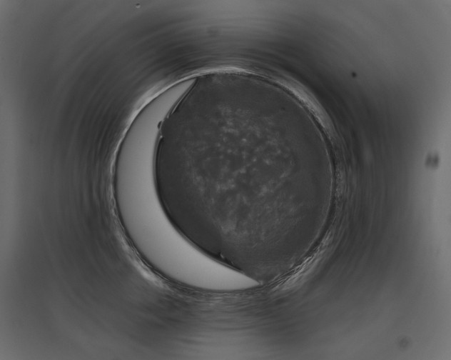 X0000097760858200803071253