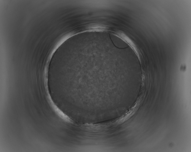X0000097760859200803071253