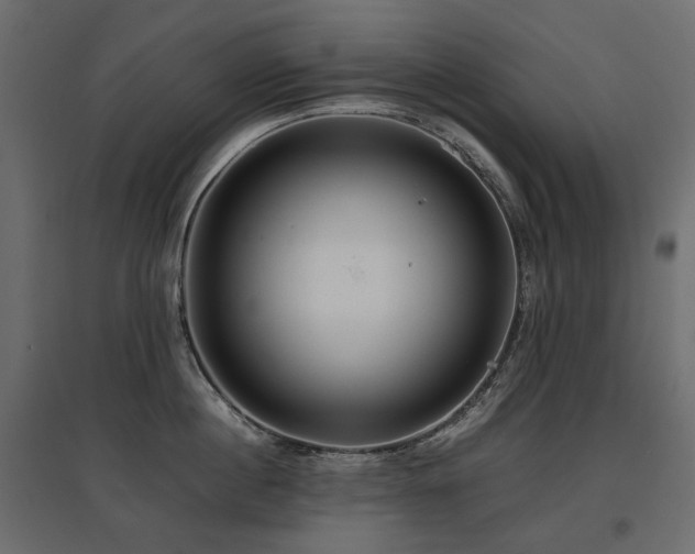 X0000097760860200803071253