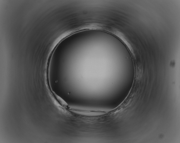 X0000097760861200803071253