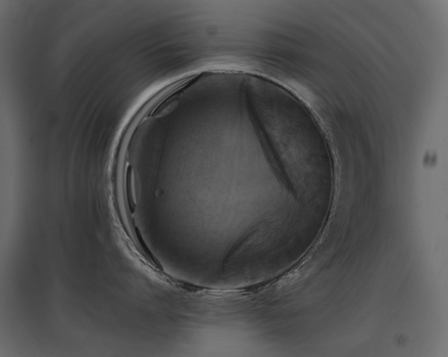 X0000097760864200803071253