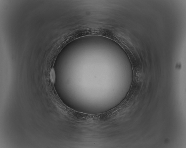X0000097760865200803071252