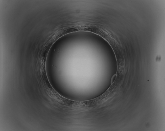 X0000097760866200803071252