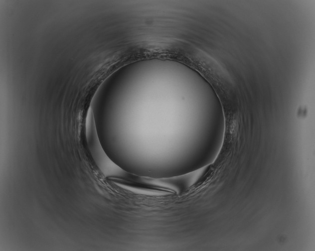 X0000097760868200803071252