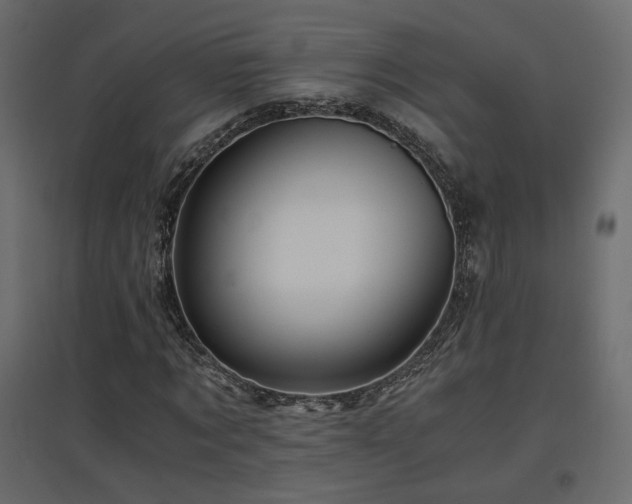 X0000097760869200803071252