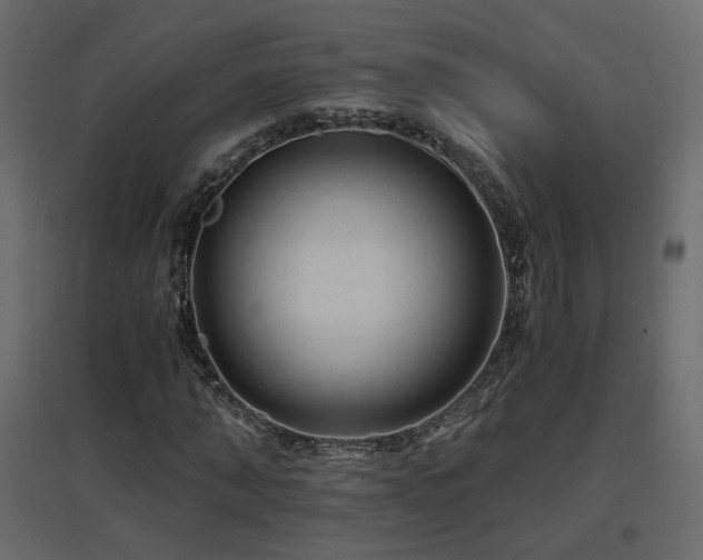X0000097760870200803071252