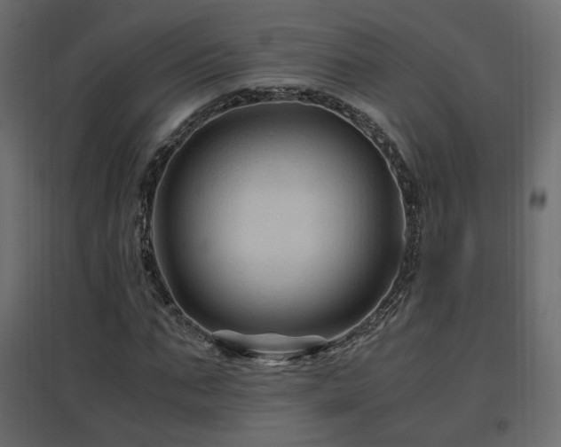 X0000097760871200803071252
