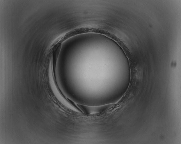 X0000097760872200803071252
