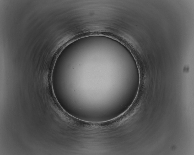 X0000097760873200803071252