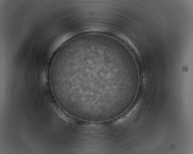 X0000097760874200803071252