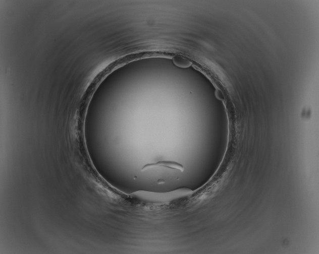 X0000097760875200803071252