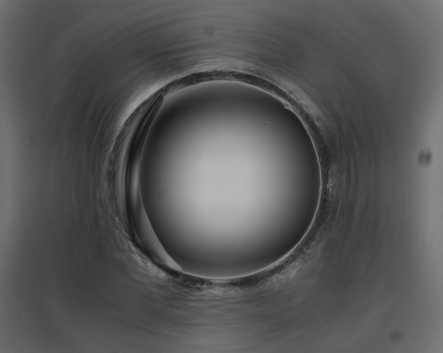 X0000097760877200803071252