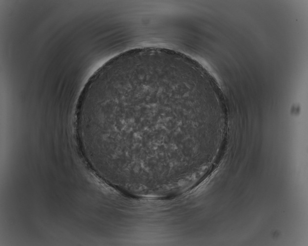 X0000097760879200803071252