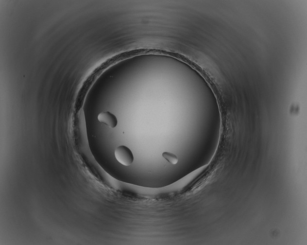 X0000097760880200803071252