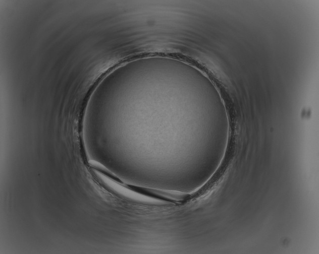 X0000097760881200803071252