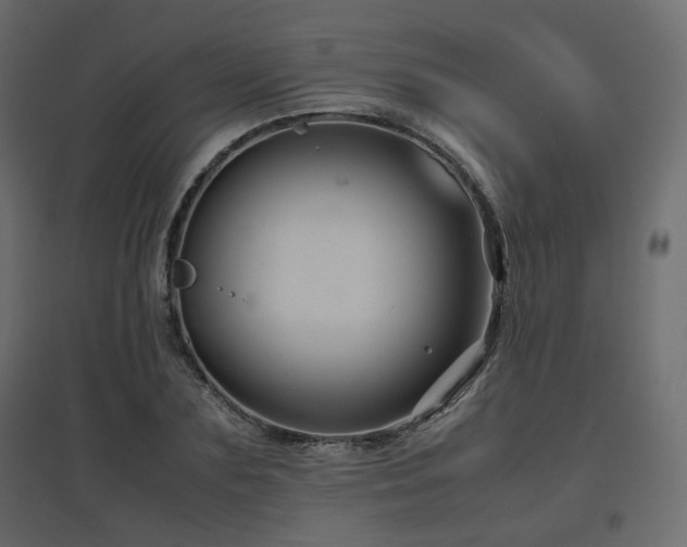X0000097760883200803071252