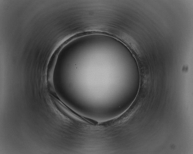 X0000097760884200803071252