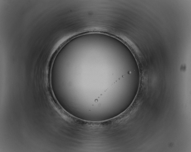 X0000097760886200803071252