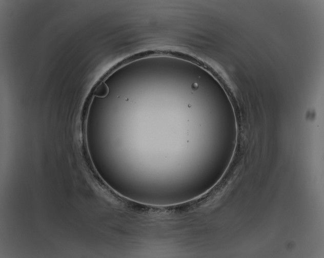 X0000097760887200803071252