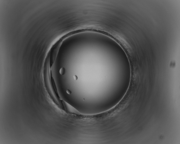X0000097760888200803071252