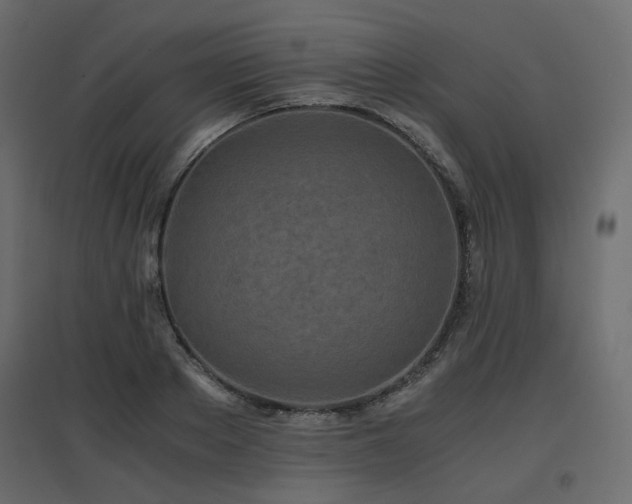 X0000097760889200803071252